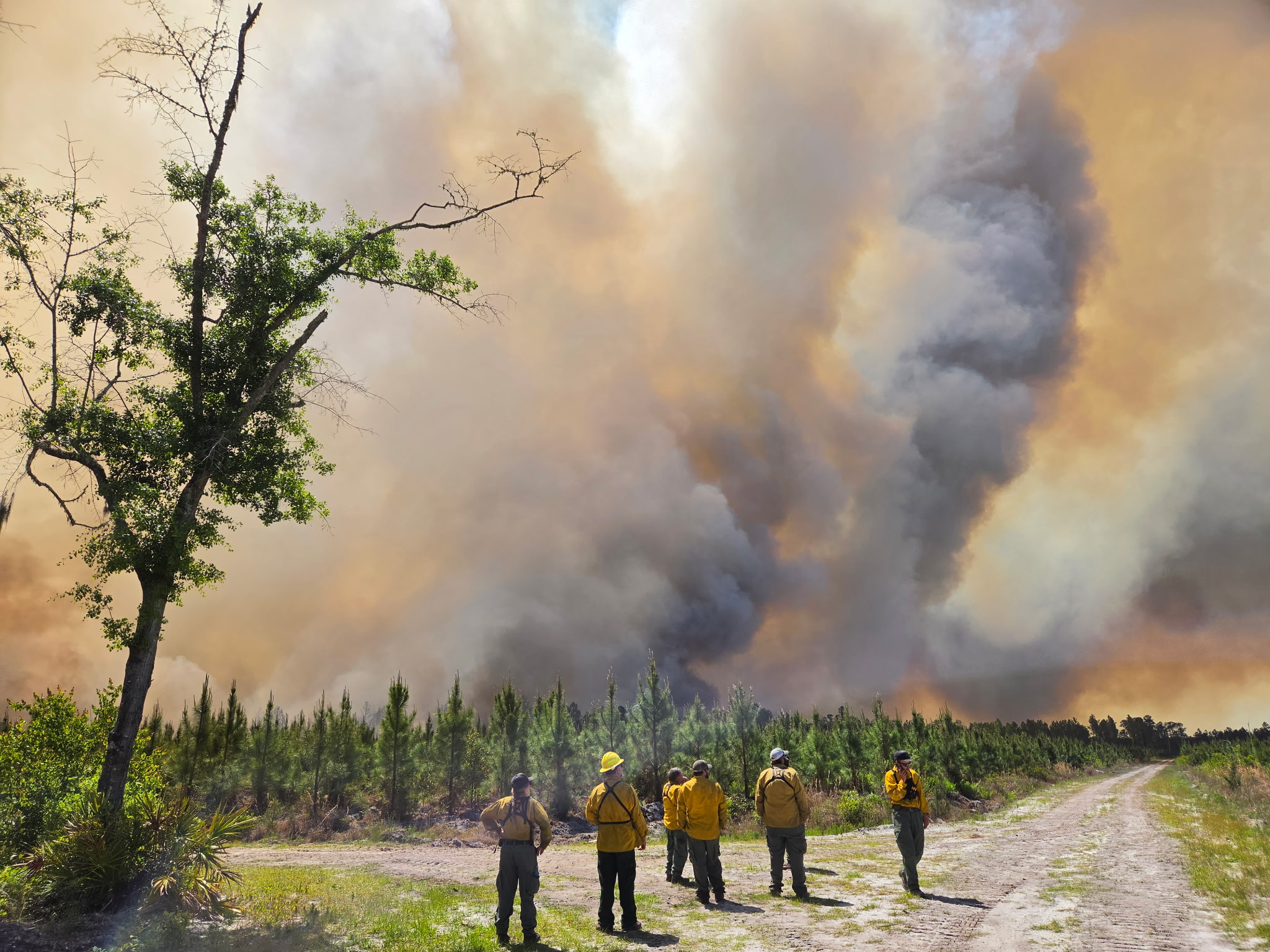 Wildfire spreading rapidly through dry Georgia timber